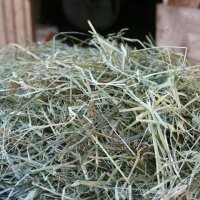 Schwäbisches Heu 2x6kg Naturbelassen für...